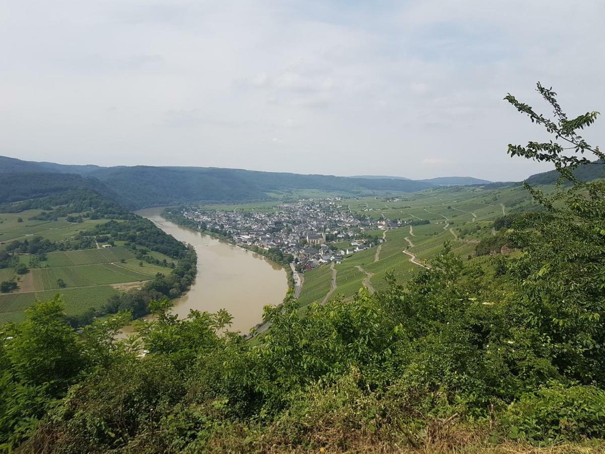 Gaestehaus Steuer Kröv Exterior foto
